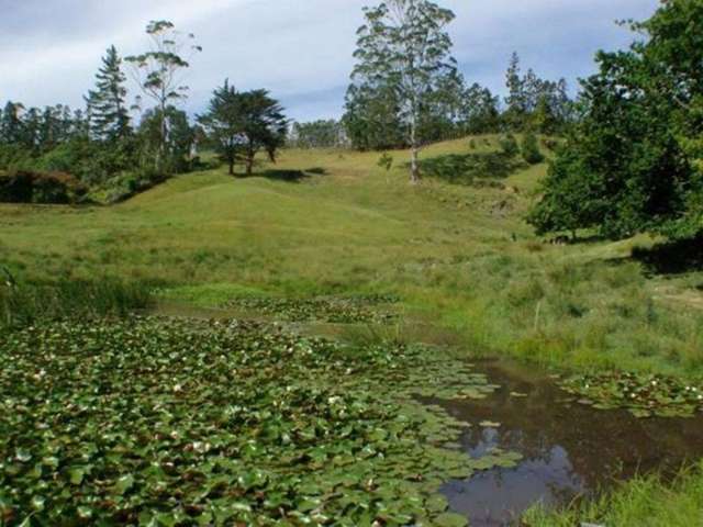 67 Wiroa Road Kerikeri_2