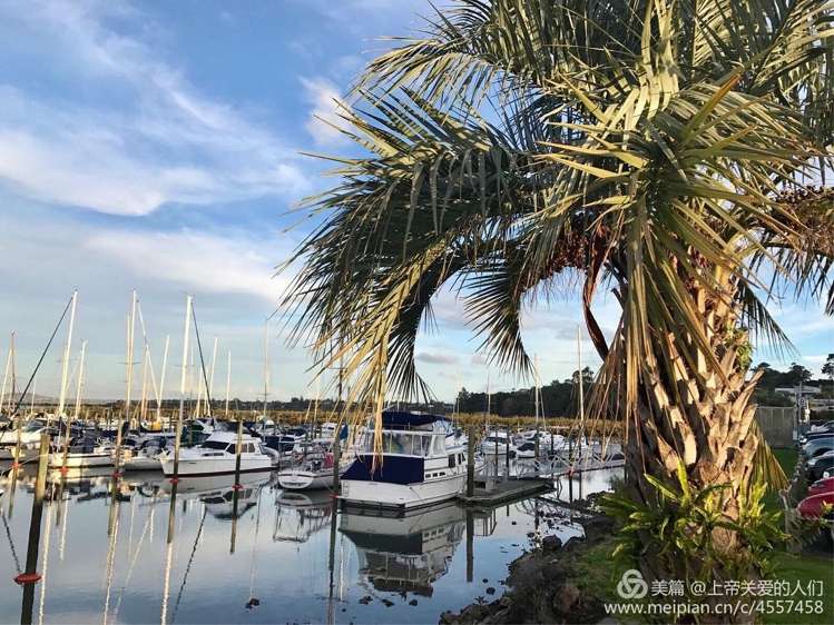 10 Oakpark Place West Harbour_13