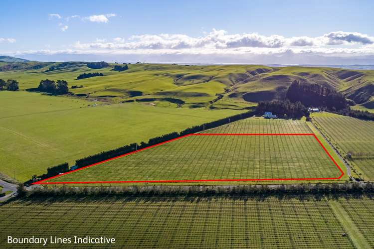 248 Te Muna Road Martinborough_0