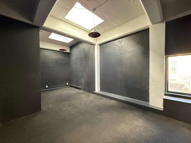 19 Marion Street Te Aro_2