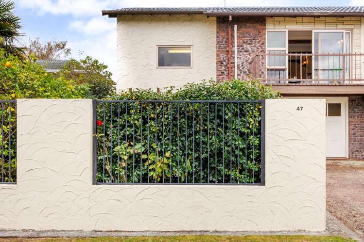 47 Dittmer Drive Awapuni_29