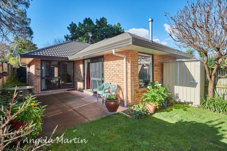 28a Rainforth Street Roslyn_14