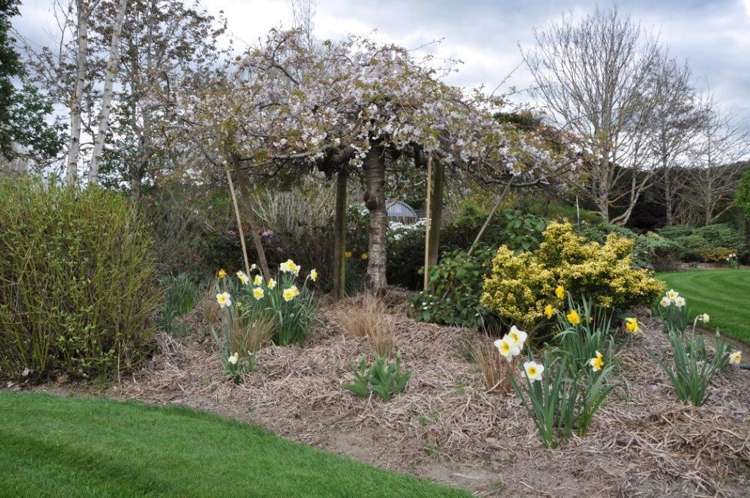 62 Rutland Street Riversdale_7