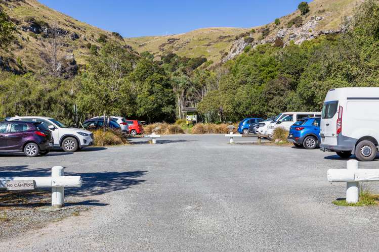 55 Albert Terrace Saint Martins_22