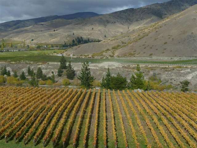 583 Kawarau Gorge Road Cromwell_1