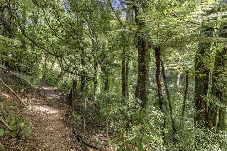 2/398 Luck At Last Road Maungatautari_31