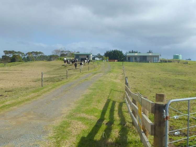 653 Kaimaumau Road Awanui_1