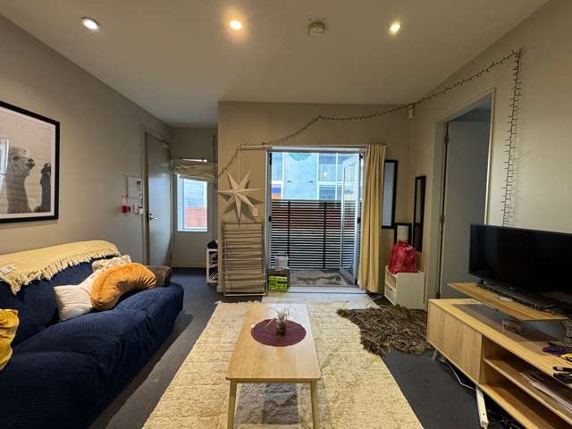 Beautiful 3 bedroom apartment in Mt VIC