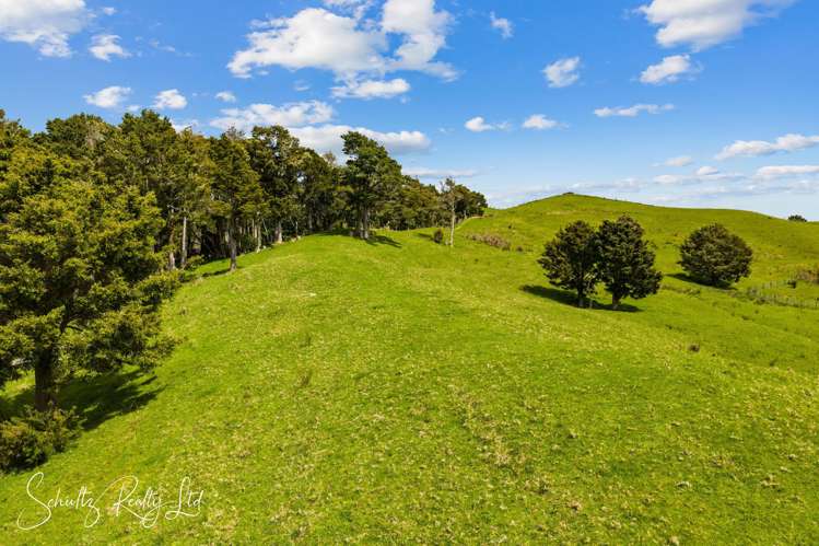 232 Arcadia Road Paparoa_17