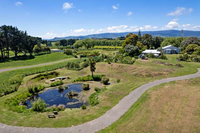 151 Swamp Road Te Horo_1