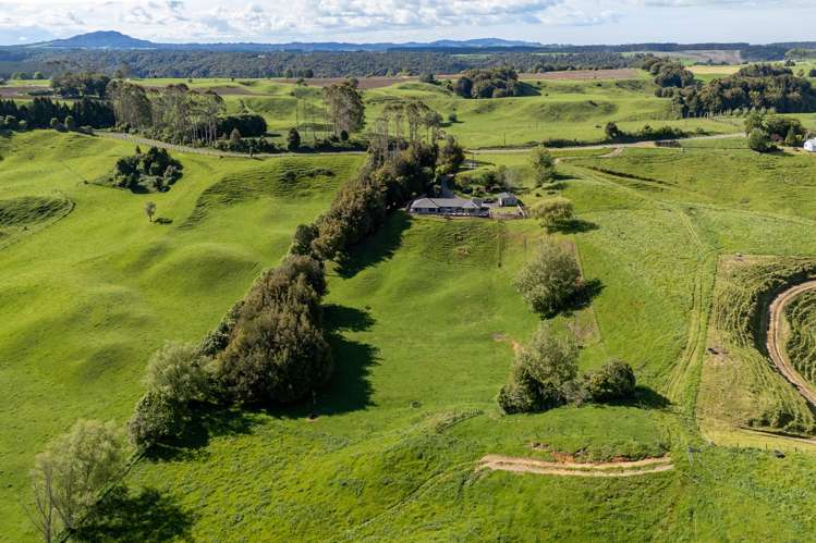 538 Kapukapu Road Kaharoa_37