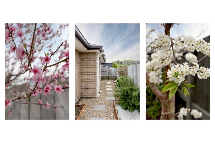 3 Ibis Way Welcome Bay_12