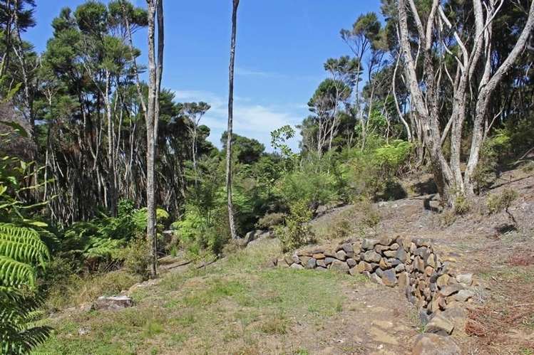 248 Rosalie Bay Road Great Barrier Island (Aotea Island)_15