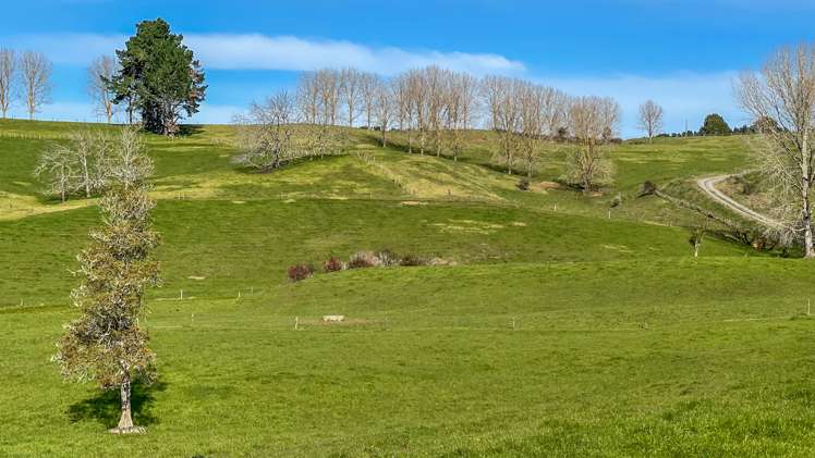 377 Bain Road Ruawaro_9