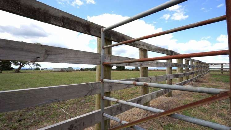 124 Tramline Road Patetonga_7