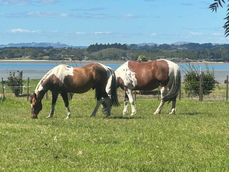 96 Westhead Road Waiuku_30