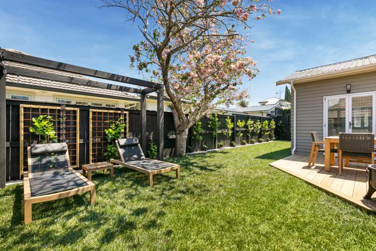 139b Fraser Street Tauranga South_19