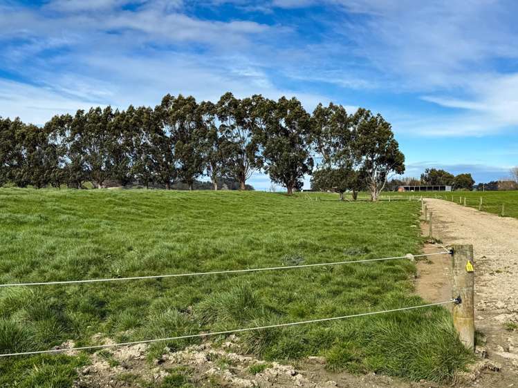 141 Mataura Island Titiroa Road Mataura Island_16