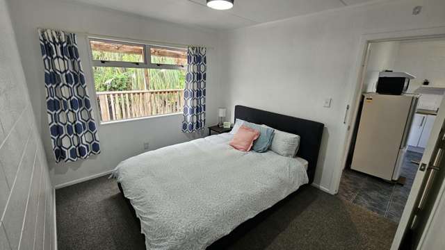 3/57 Carrington Street Vogeltown_3