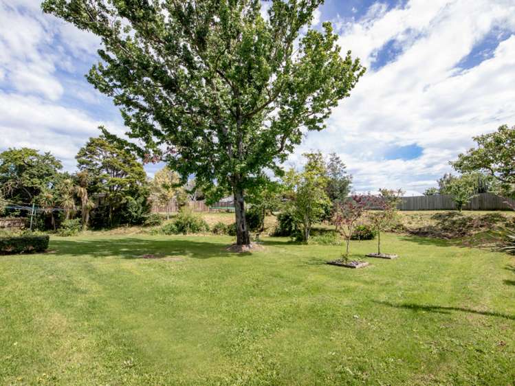 46 State Highway 63 Renwick_20