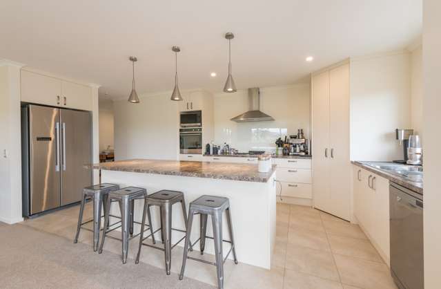 12 Mount Arthur View Redwood Valley_3