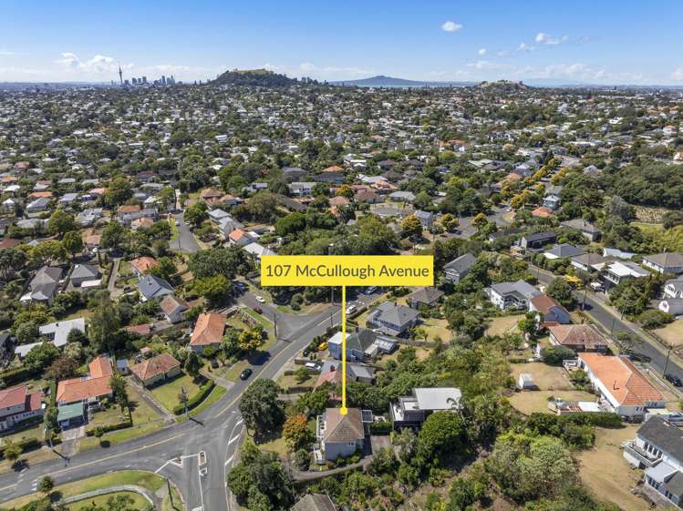 107 Mccullough Avenue Mount Roskill_23