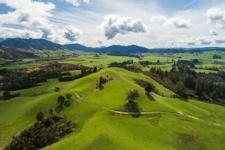 557 Tadmor-Bushend Road Tapawera_6