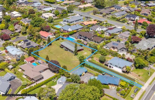 See the Potential. Secure the Opportunity.