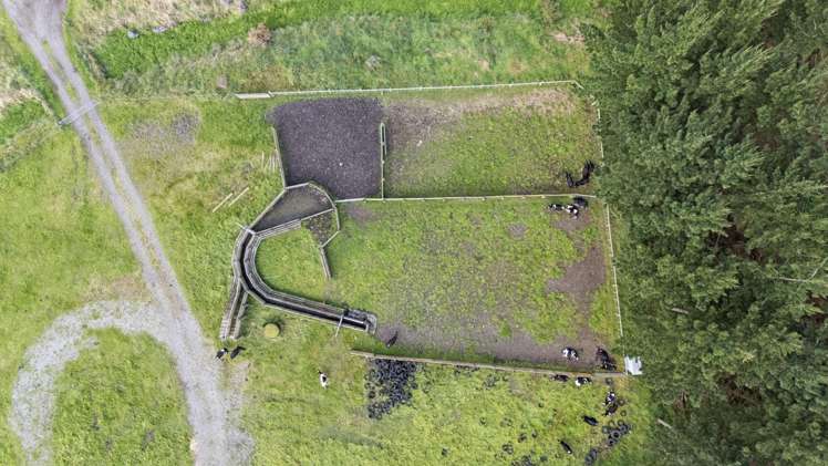 Santoft Road Bulls_19