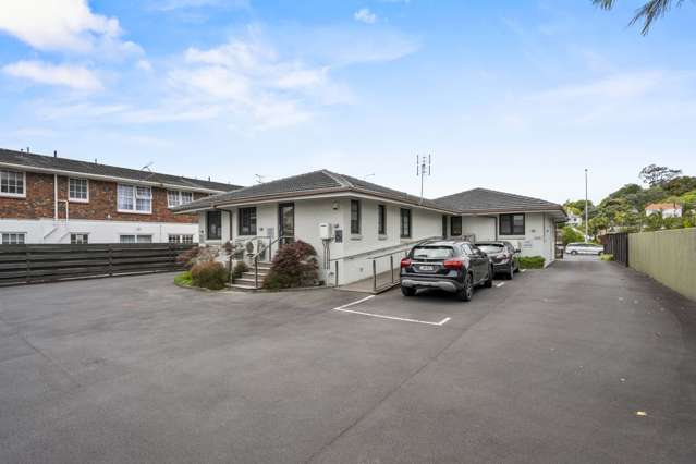 193 Manukau Road Epsom_3