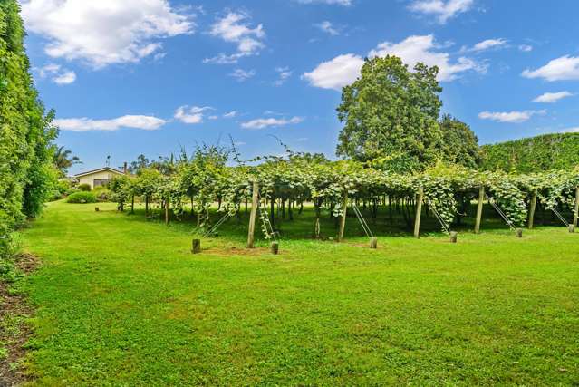 1614 State Highway 14 Maungatapere_1