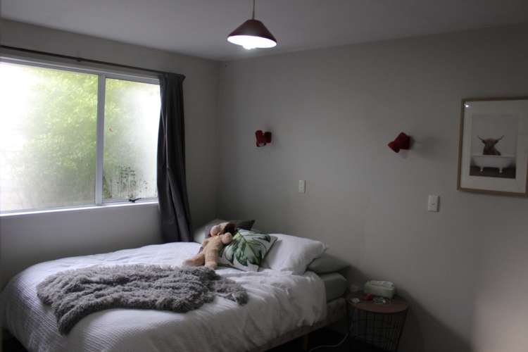 2 Colman Avenue Sockburn_5