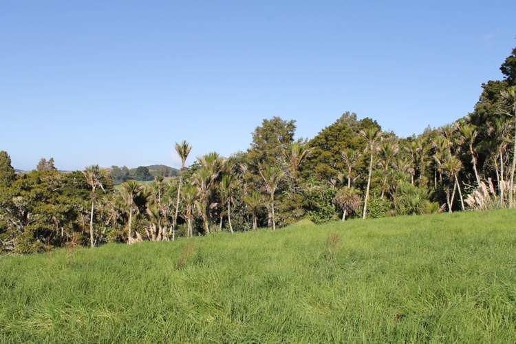 6 Whaka Street Maungaturoto_7