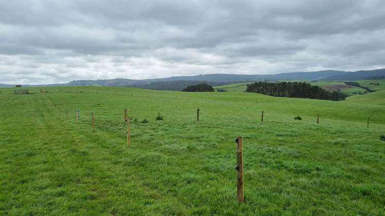 3902 State Highway 12 Dargaville Surrounds_9