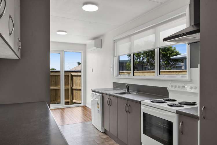 164 Mangorei Road Merrilands_2