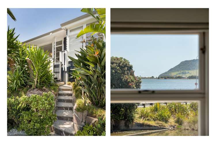 142B Third Avenue Tauranga_22