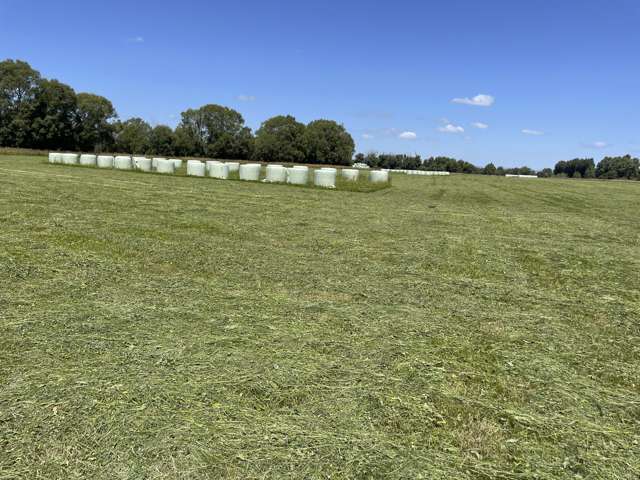 1049 Pyramid Waiparu Road Wendon_3