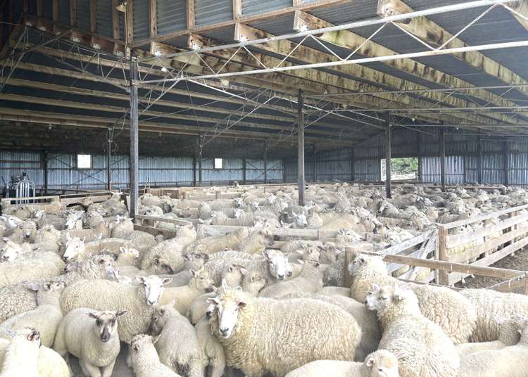 355 Clifton Road Clinton and Surrounds_7