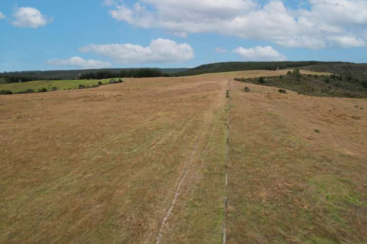 State Highway 12 Dargaville_8