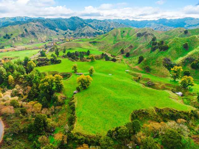 77 Borck Road Taumarunui_1