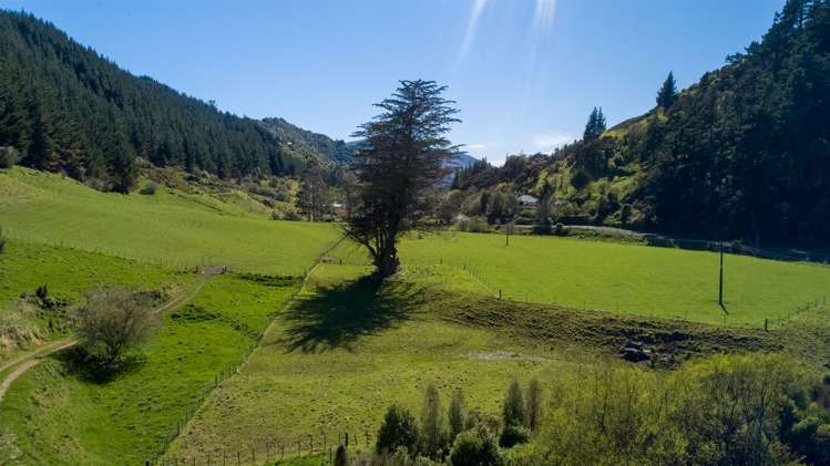 312 Lud Valley Road Hira_34