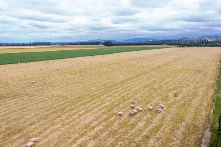 Waireka Road Darfield_27