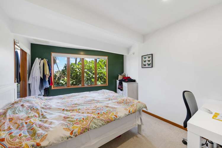 30 Springcombe Road St Heliers_15