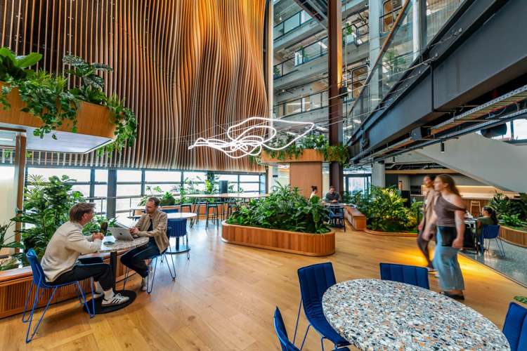 74-78 Taharoto Road Takapuna_9