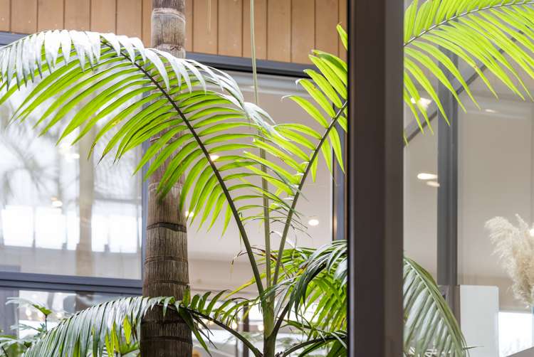 4 Gateway Avenue Beachlands_15