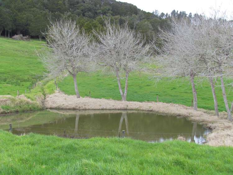 Tremain Road Ruatangata West_12