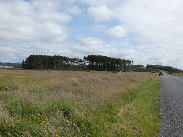 Havill Drive Hokitika_4