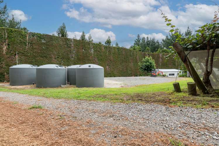 169 Kauri Point Road Tahawai_7