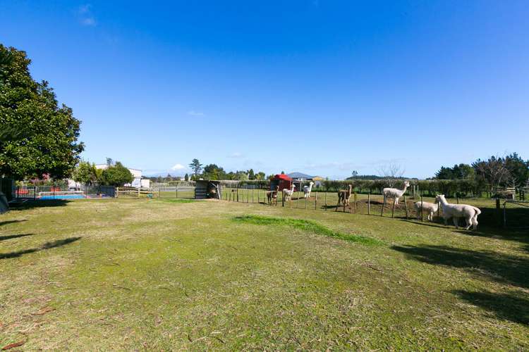 254 Mountain Road Lepperton_5