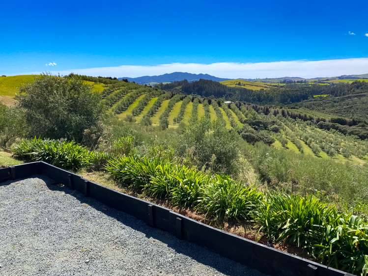 92 Frantoio Ridge Road Mangonui_11